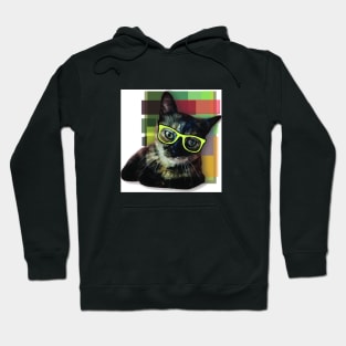 Cool cat Hoodie